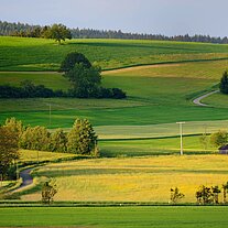 Blick ins Tiefenbachtal Blick ins Tiefenbachtal