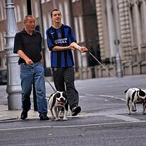 Zwei Iren führen Ihre Pitbulls aus Zwei Iren führen Ihre Pitbulls aus