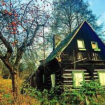 Holzhaus Umgebindehaus in Jetrichovice Holzhaus Umgebindehaus in Jetrichovice