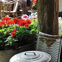 Blumenarrangement im Gästegarten