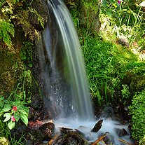 Wasserfall am Koi-Becken Wasserfall am Koi-Becken