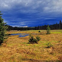 Filz an der Ahornsäge Javori Pila