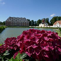 Schloss Valdemar Slot mit Pflanzen