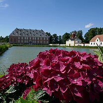 Schloss Valdemar Slot mit Pflanzen Schloss Valdemar Slot mit Pflanzen