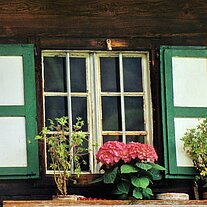 Fenster Fenster