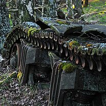 Panzerreste von der Natur zurückerobert Panzerreste von der Natur zurückerobert