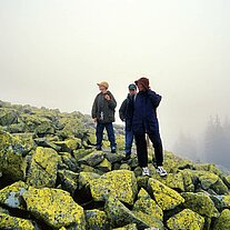 auf dem Gipfel auf dem Gipfel