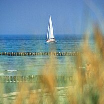 Segelboot durch Schilf Segelboot durch Schilf