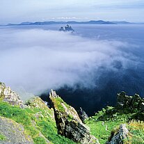 Nebel zieht auf Nebel zieht auf