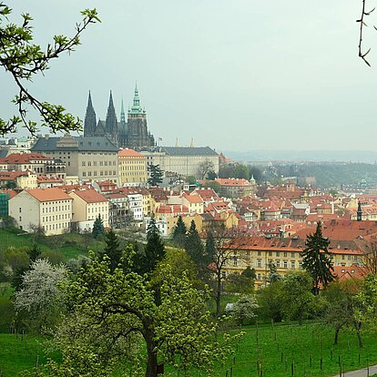 Blick auf den Hradschin