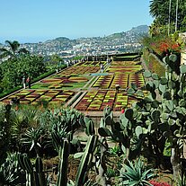 der botanische Garten von Funchal der botanische Garten von Funchal