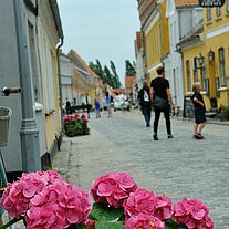 Strasse in Aeroskobing mit Blumen Strasse in Aeroskobing mit Blumen