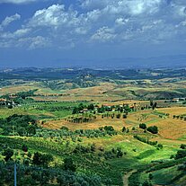 Landschaft um Montaione Landschaft um Montaione