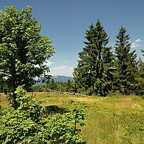 Schachtenausblick Schachtenausblick