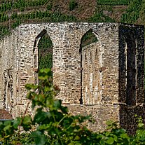 Ruine Kloster Stuben