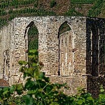 Ruine Kloster Stuben Ruine Kloster Stuben