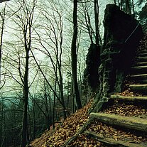 Treppe zum Gabrielensteig Treppe zum Gabrielensteig
