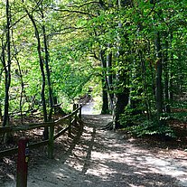 Klippenweg Klippenweg