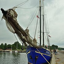 die Zephyr von vorne die Zephyr von vorne