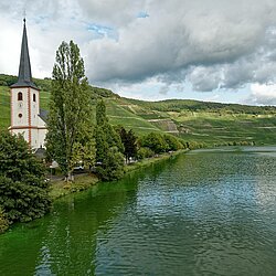 Kirche von alt Piesport