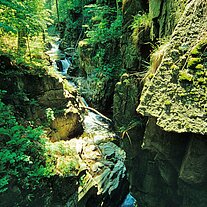 Der Wölfelsbach Der Wölfelsbach