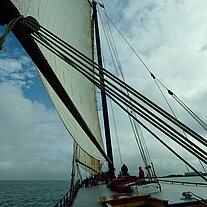 segeln im IJsselmeer