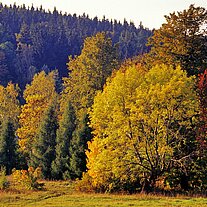 Kapelle am Annaberg mit Herbstbäumen Kapelle am Annaberg mit Herbstbäumen