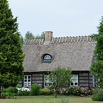 Reethaus von Bäumen eingesäumt Reethaus von Bäumen eingesäumt